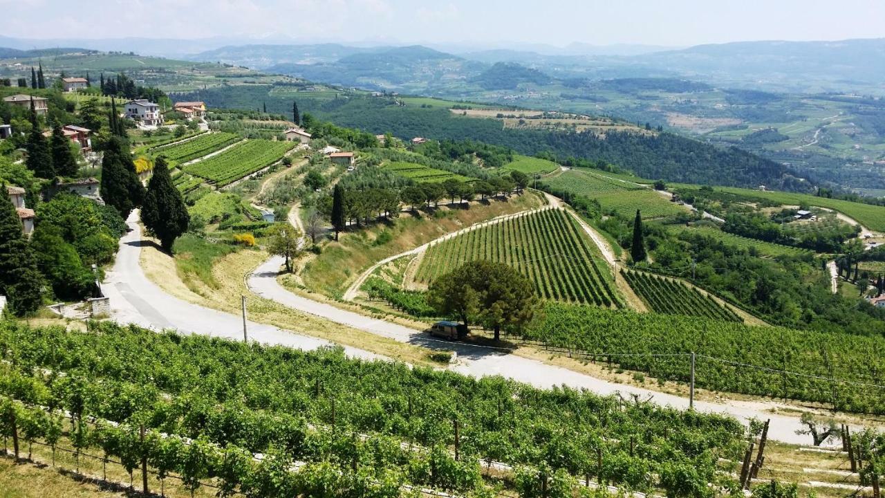 Cris Apartments Sant'Ambrogio di Valpolicella Bagian luar foto